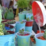 Feria de Ciencias