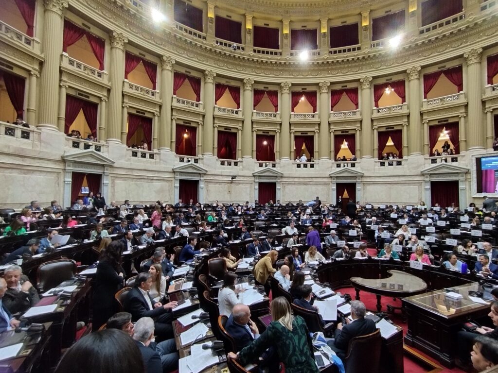 “Argentina Inclusiva”: Diputados aprobó el programa para capacitar a funcionarios en discapacidad