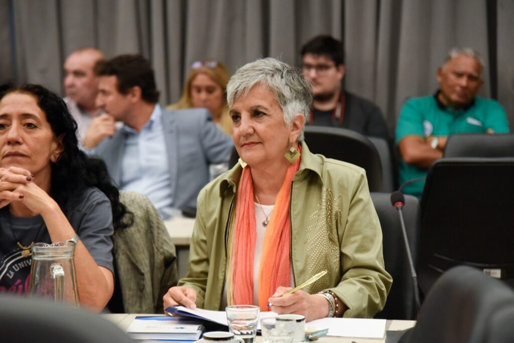 “El Proyecto de Ley de Financiamiento Educativo es oportuno, necesario y prioritario”